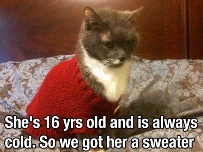 Photos That Will Hit You Directly In The Feels (29 pics)