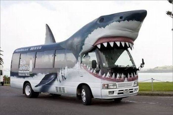 Acid Picdump (95 pics)