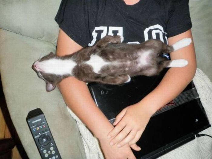 Acid Picdump (95 pics)