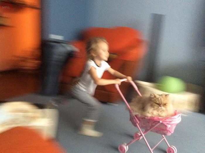 Acid Picdump (95 pics)