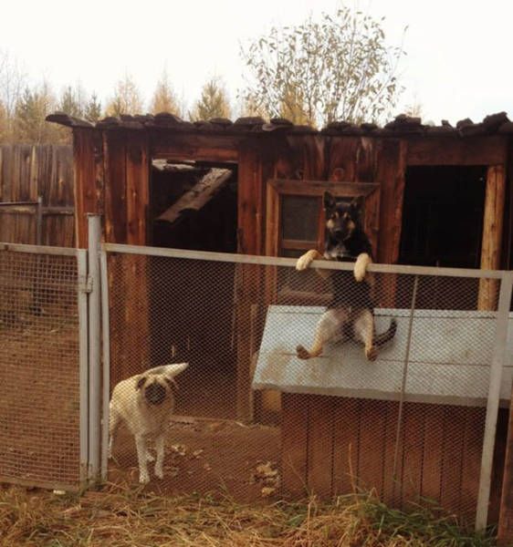 Acid Picdump (95 pics)