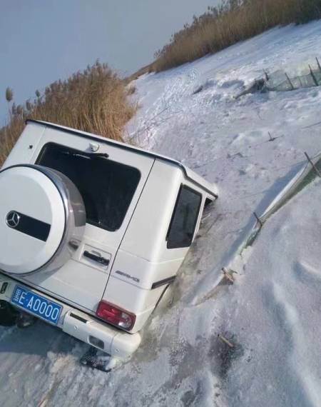 Acid Picdump (95 pics)