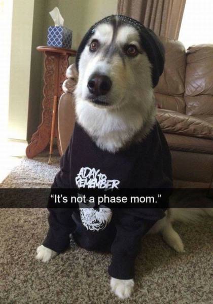 Acid Picdump (95 pics)
