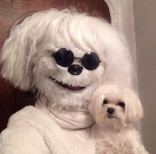 Acid Picdump (95 pics)