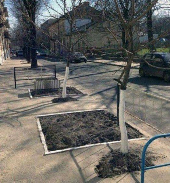Acid Picdump (95 pics)
