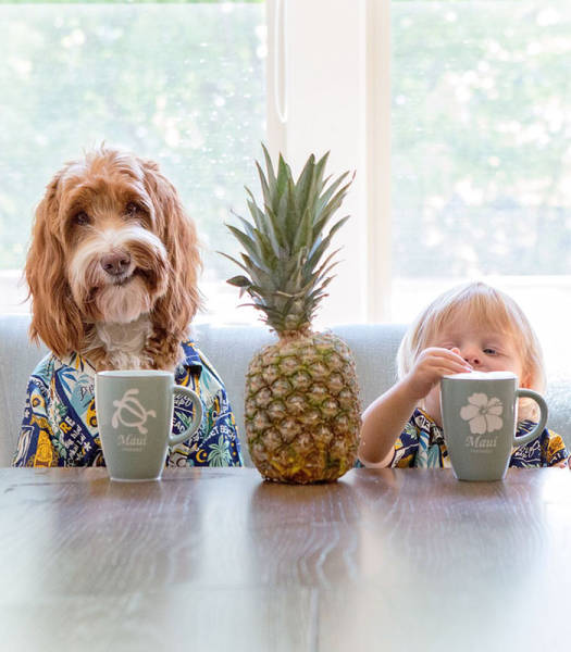This Boy And His Adorable Labradoodle Do Everything Together (13 pics)