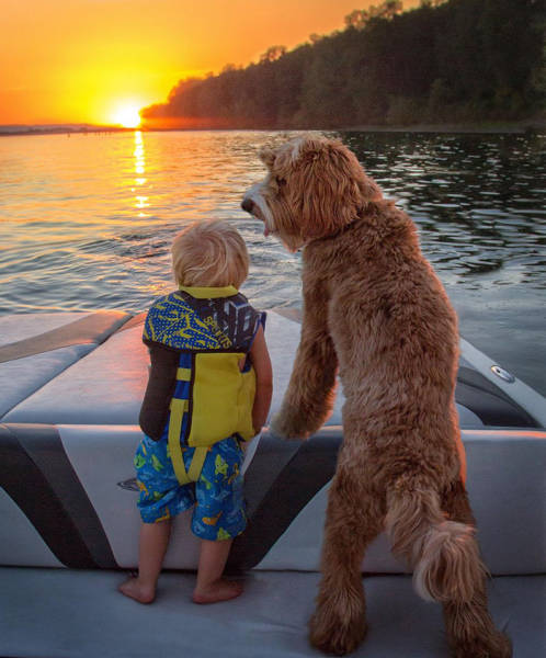 This Boy And His Adorable Labradoodle Do Everything Together (13 pics)