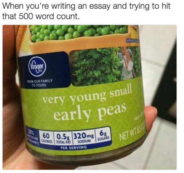 Honest Jokes That Any Student Will Relate To (18 pics)
