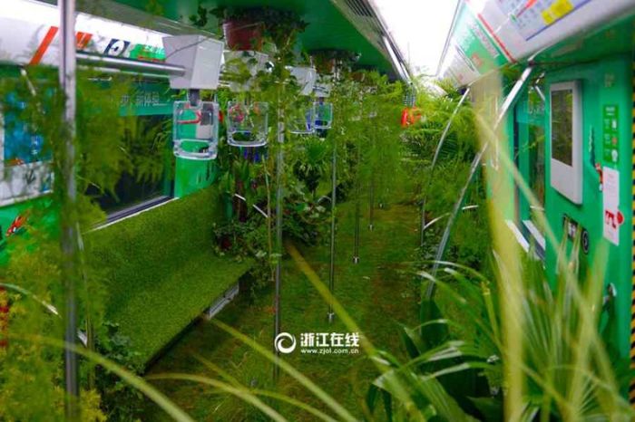 A Chinese Subway Car Has Been Turned Into A Green Forest (7 pics)