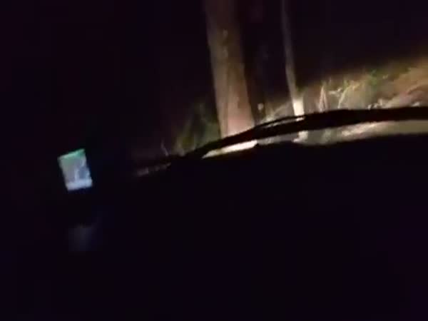 Two Men Get Trapped Between Powerlines