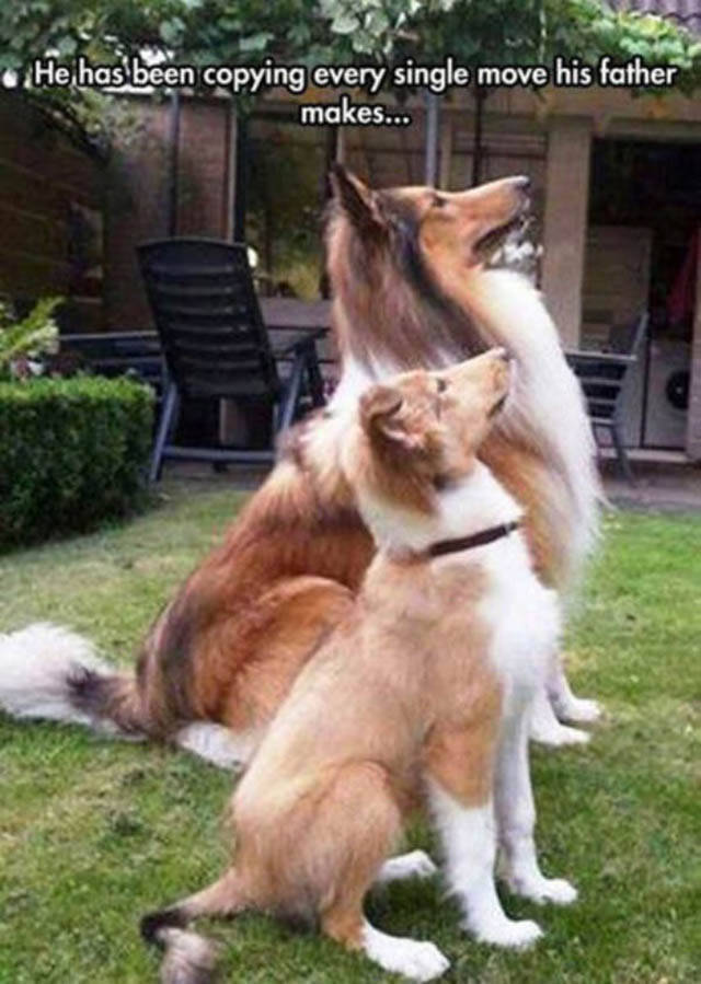 What Parenting Actually Looks Like When It's Done Right (40 pics)