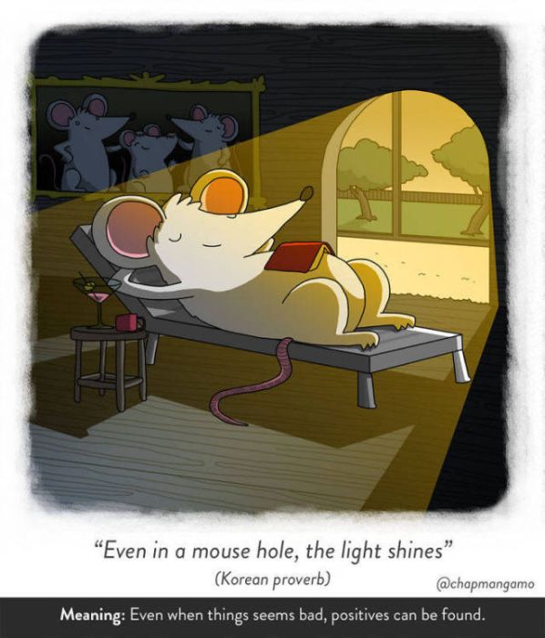Artist Creates Unique Illustrations Showing Literal Translations Of Proverbs (40 pics)