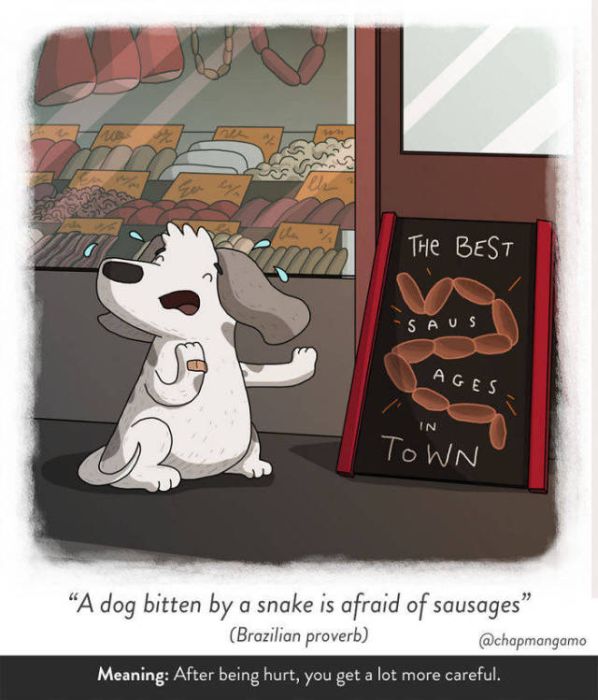 Artist Creates Unique Illustrations Showing Literal Translations Of Proverbs (40 pics)