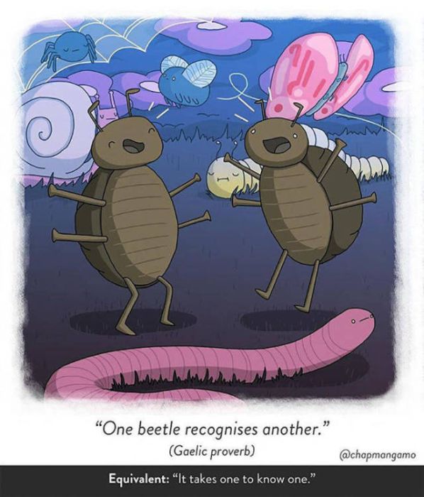Artist Creates Unique Illustrations Showing Literal Translations Of Proverbs (40 pics)