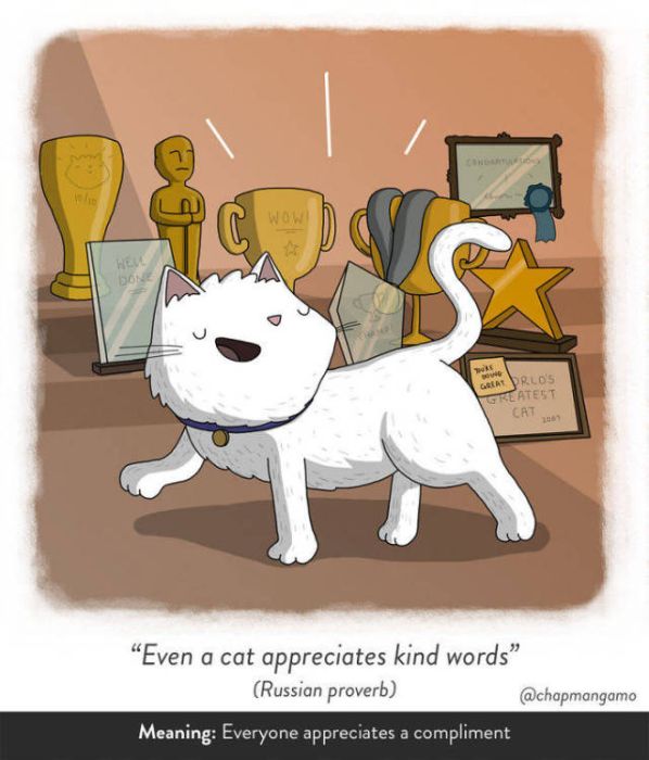 Artist Creates Unique Illustrations Showing Literal Translations Of Proverbs (40 pics)