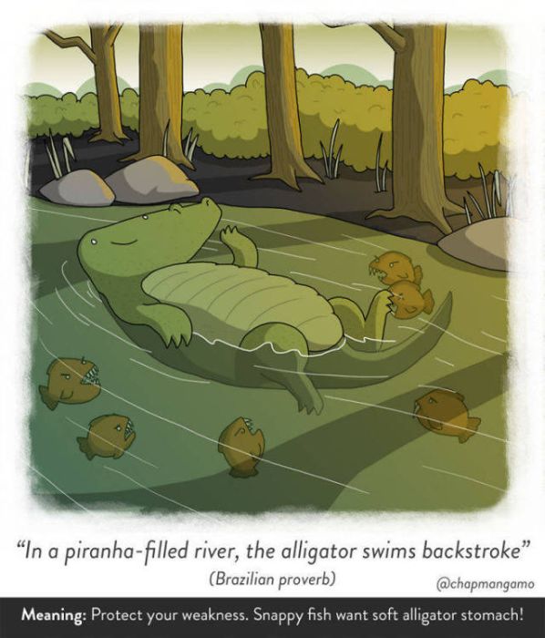 Artist Creates Unique Illustrations Showing Literal Translations Of Proverbs (40 pics)