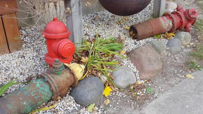 This Man’s House Is Full Of Many Crazy Things (16 pics)