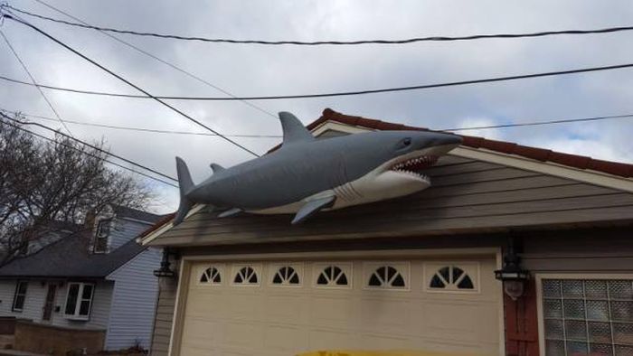 This Man’s House Is Full Of Many Crazy Things (16 pics)