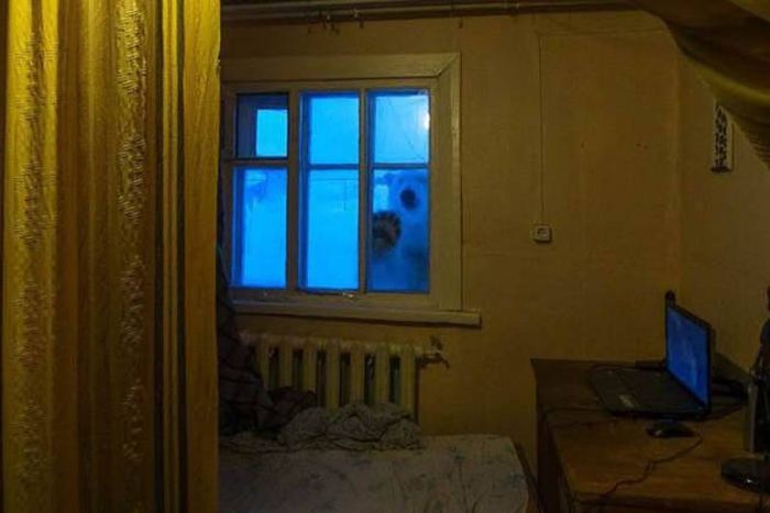 Crazy Russians Prove That There's No Limit To Their Madness (43 pics)