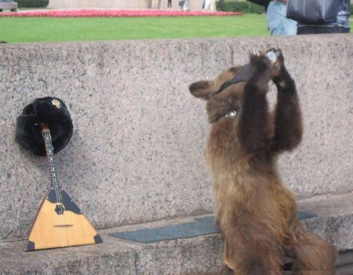 Crazy Russians Prove That There's No Limit To Their Madness (43 pics)