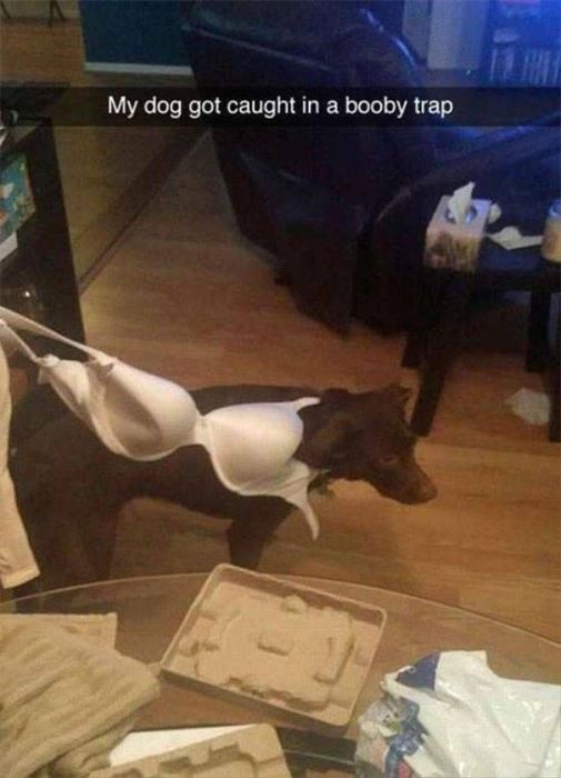 People Share Their Amusing And Embarrassing Fails On Snapchat (45 pics)