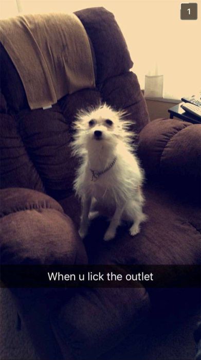 People Share Their Amusing And Embarrassing Fails On Snapchat (45 pics)