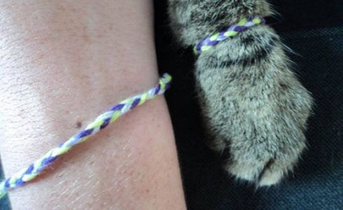 The Painfully Awkward Reality Of Being Forever Alone (28 pics)