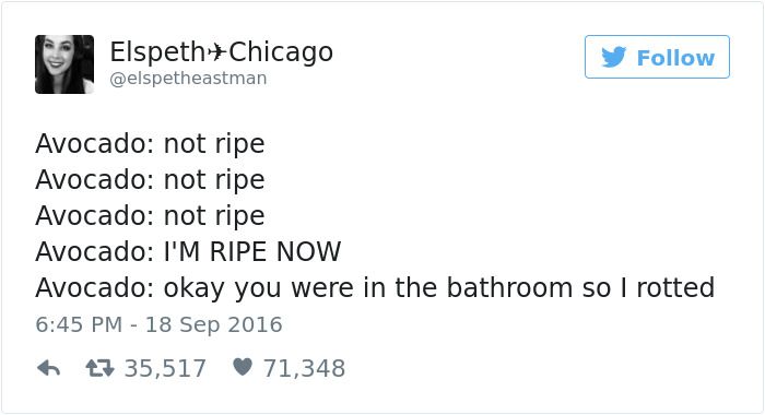 The Most Hilarious Tweets From Women In 2016 (30 pics)