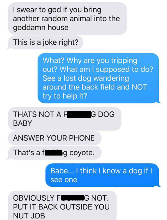 Wife Trolls Husband With A Photo Of A Cute Puppy She Found Outside (12 pics)