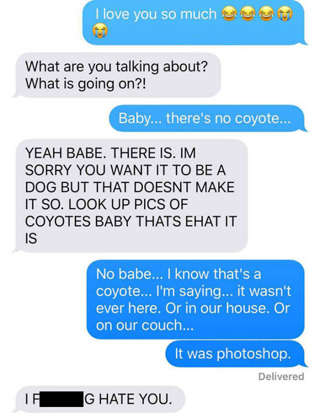 Wife Trolls Husband With A Photo Of A Cute Puppy She Found Outside (12 pics)