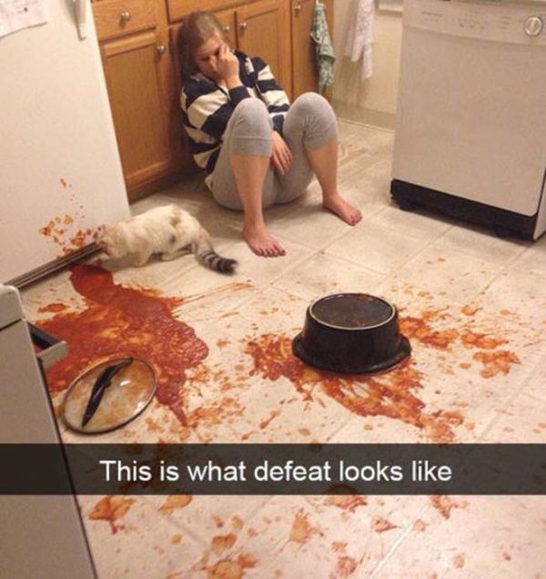 Sometimes When Bad Things Happen You Can't Run Or Hide (40 pics)