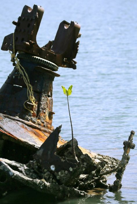 Traces of World War II Scattered Throughout The Pacific Islands (34 pics)