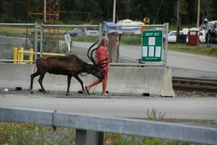 Acid Picdump (102 pics)