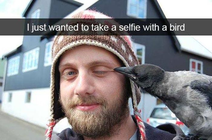 Acid Picdump (102 pics)