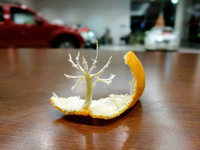 Acid Picdump (102 pics)