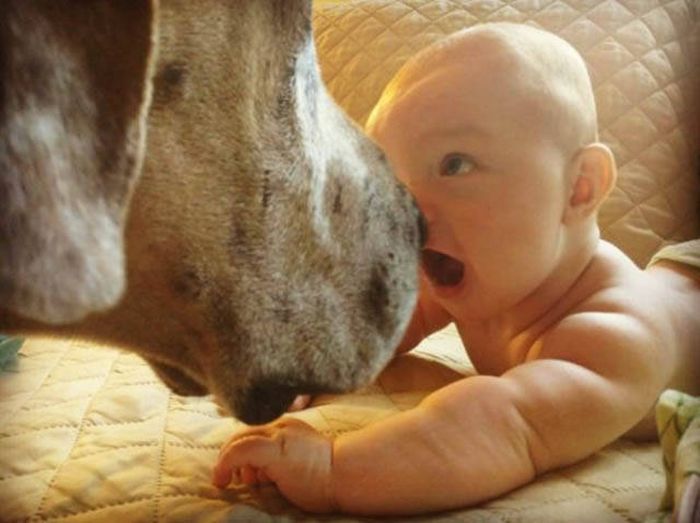 Acid Picdump (102 pics)