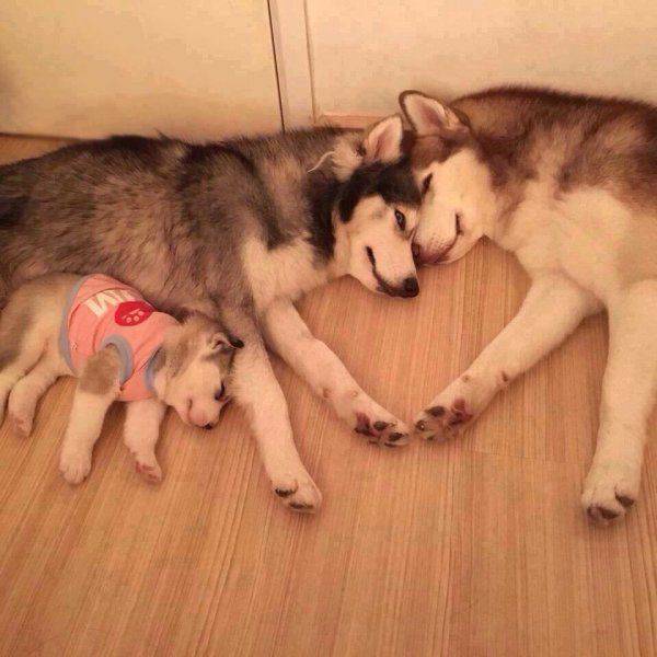 Acid Picdump (102 pics)