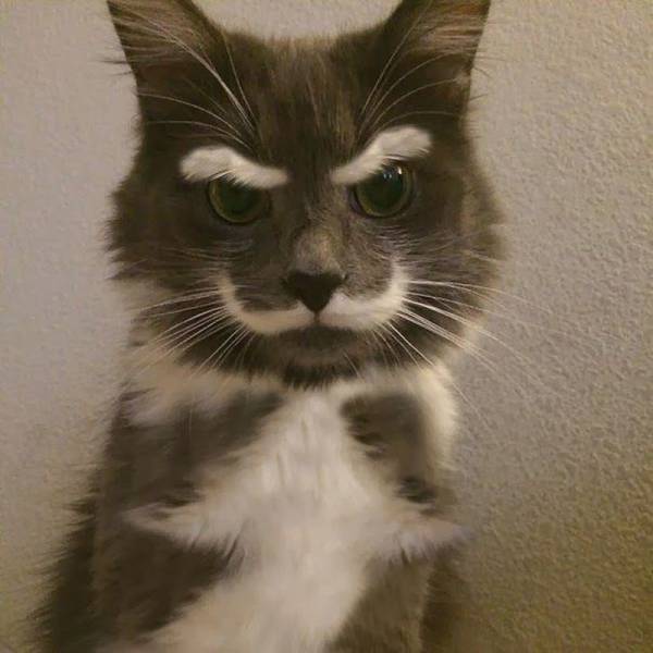 Acid Picdump (102 pics)