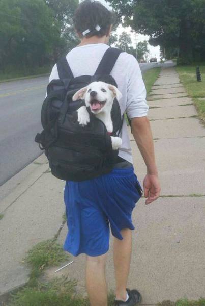 Acid Picdump (102 pics)
