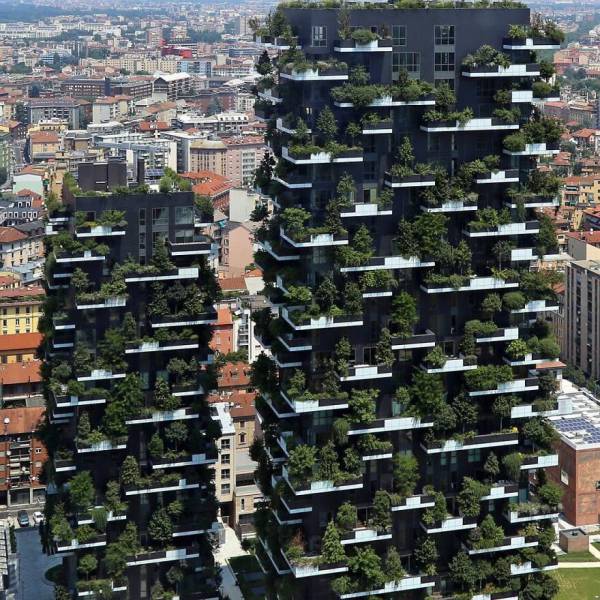 Acid Picdump (102 pics)