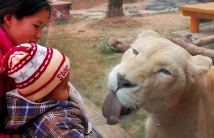 Acid Picdump (119 pics)