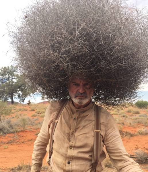 Acid Picdump (119 pics)