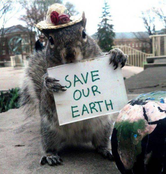 Acid Picdump (119 pics)