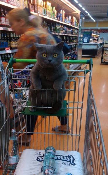 Acid Picdump (119 pics)