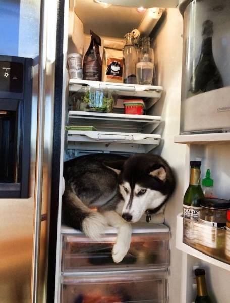 Acid Picdump (119 pics)
