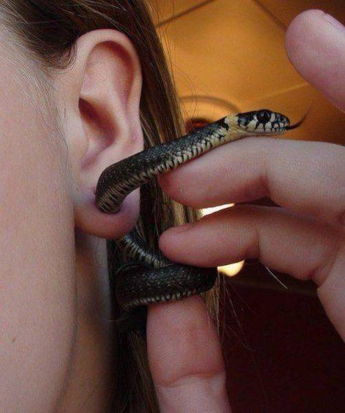 Acid Picdump (119 pics)