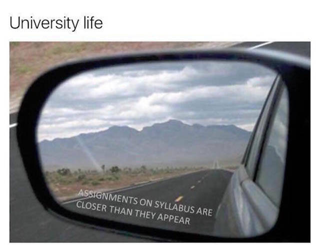 The Truth About What College Life Is Like During Finals (30 pics)