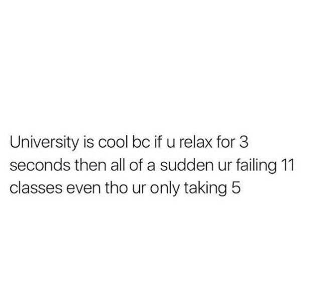 The Truth About What College Life Is Like During Finals (30 pics)