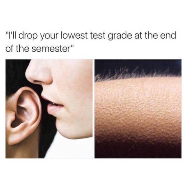 The Truth About What College Life Is Like During Finals (30 pics)
