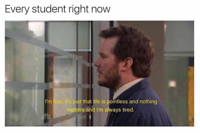 The Truth About What College Life Is Like During Finals (30 pics)
